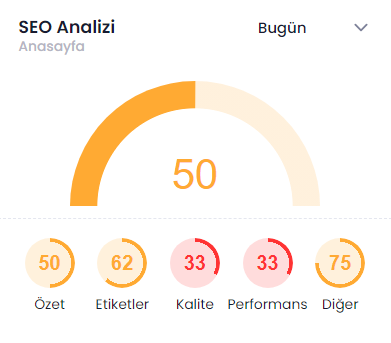 SEO Analiz Kartı